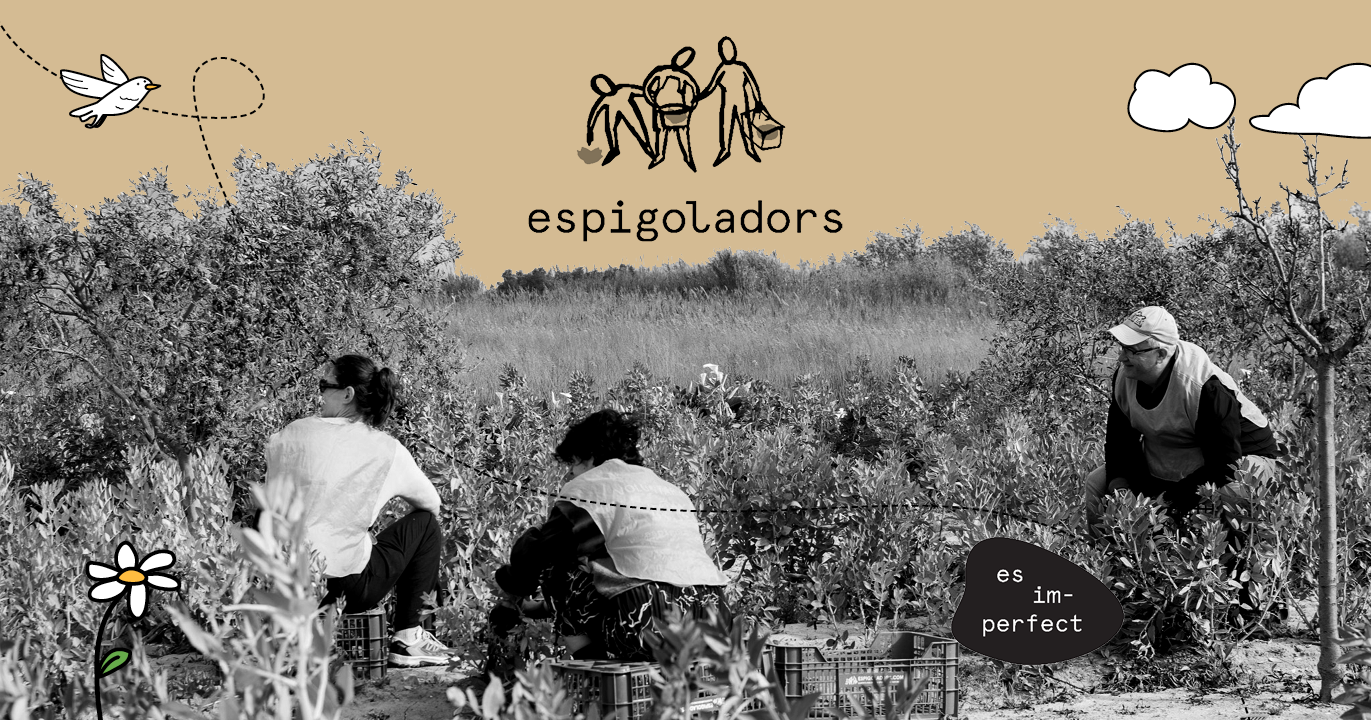 Fundació Espigoladors: «Desenvolupar un entorn digital a mida ens permet mesurar  l’impacte de la nostra activitat»